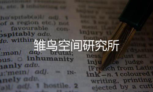 雏鸟空间研究所