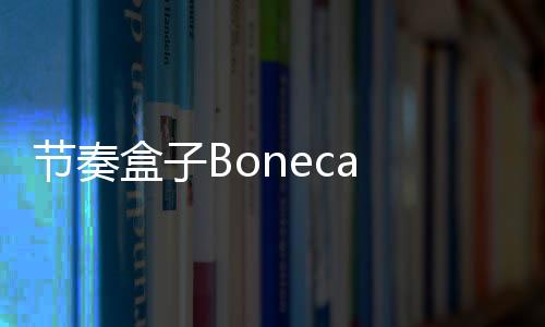 节奏盒子Boneca Ambalabu模组