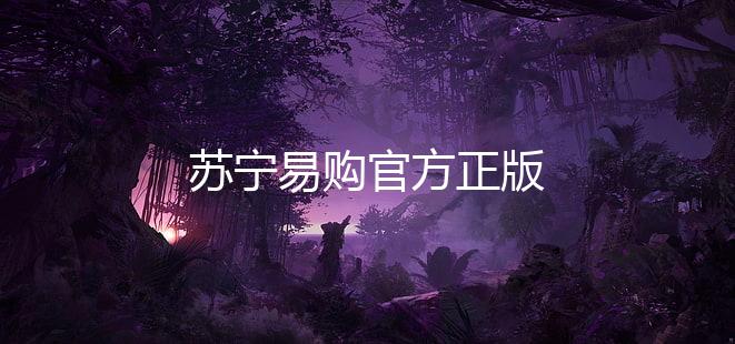 苏宁易购官方正版