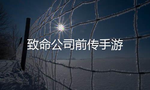 致命公司前传手游