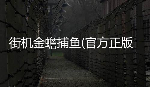 街机金蟾捕鱼(官方正版)