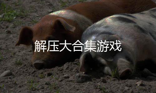 解压大合集游戏