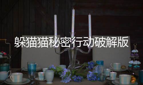 躲猫猫秘密行动破解版