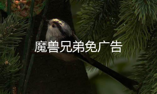 魔兽兄弟免广告