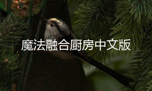 魔法融合厨房中文版