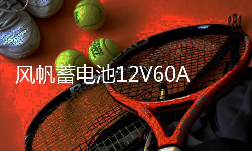 风帆蓄电池12V60A适配伊兰特花冠卡罗拉朗动海马天籁雅阁名图电瓶