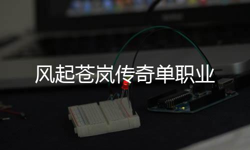 风起苍岚传奇单职业