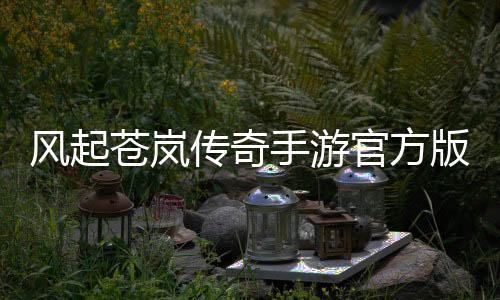风起苍岚传奇手游官方版