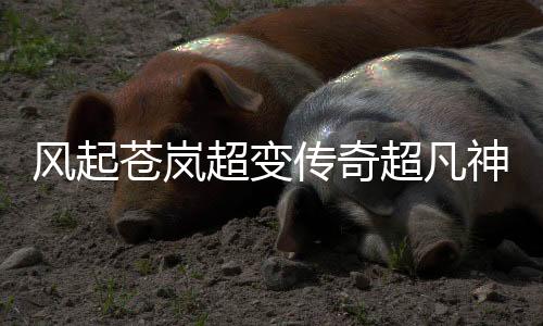 风起苍岚超变传奇超凡神蛋