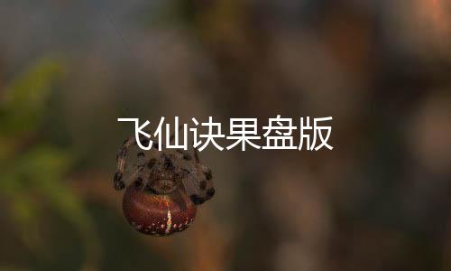 飞仙诀果盘版