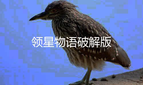 领星物语破解版