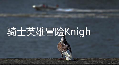骑士英雄冒险Knight Hero