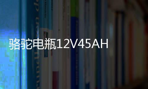 骆驼电瓶12V45AH适配长安面包车五菱宏光S/荣光V/轩逸汽车蓄电池