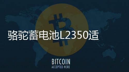 骆驼蓄电池L2350适用于东风长安悦翔睿骋逸动汽车电瓶 以旧换新
