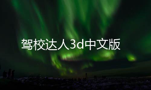驾校达人3d中文版