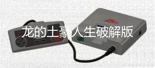 龙的土豪人生破解版