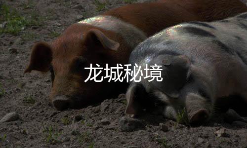龙城秘境