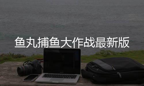 鱼丸捕鱼大作战最新版