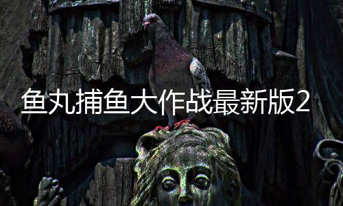 鱼丸捕鱼大作战最新版2024