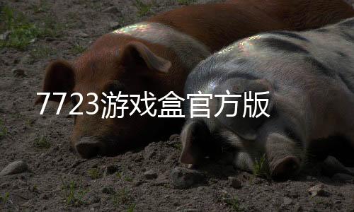 7723游戏盒官方版