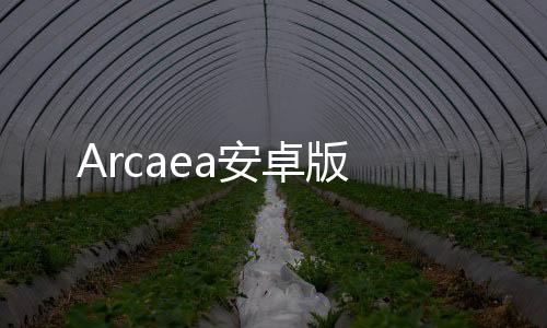Arcaea安卓版