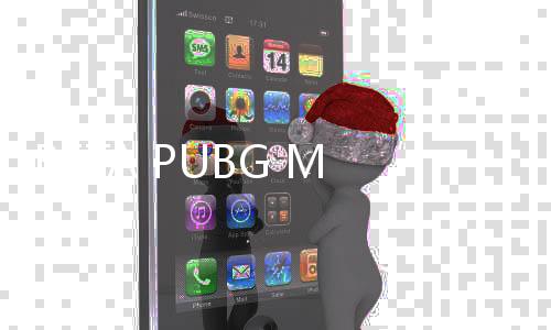 BETA PUBG MOBILE地铁逃生体验服2024最新版本