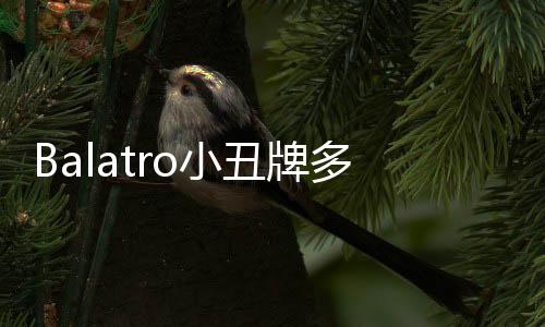 Balatro小丑牌多模组