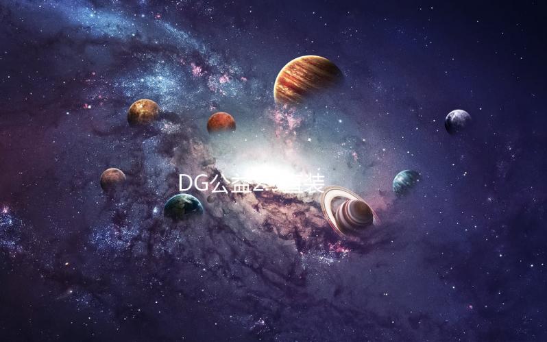 DG公益2.9直装