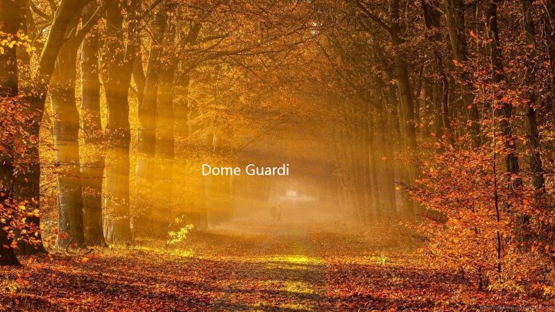 Dome Guardian圆顶守护者手游