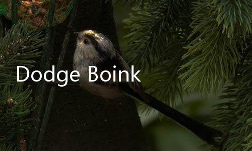 Dodge Boinks游戏