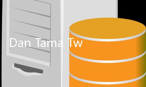 Dan Tama Twin Soul Stray方块破坏类rpg