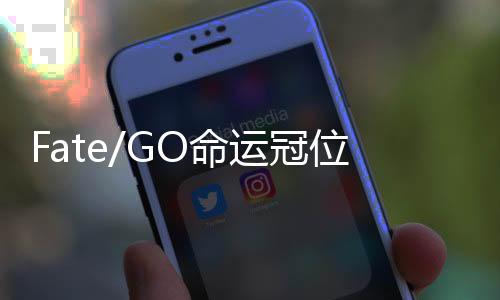 Fate/GO命运冠位指定英文版