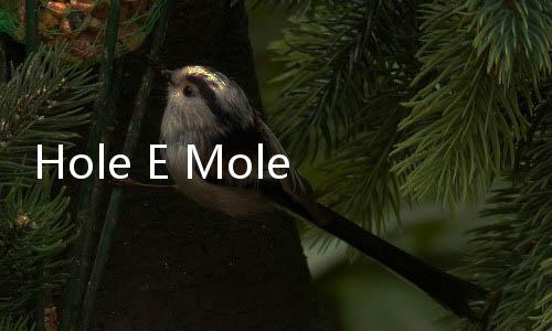 Hole E Mole最新版