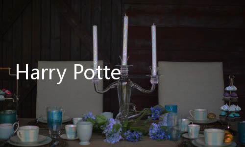 Harry Potter(哈利波特霍格沃茨之谜2020)