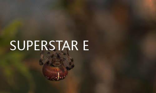 SUPERSTAR EBiDAN最新版
