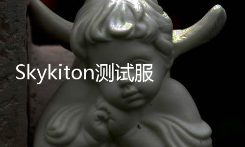 Skykiton测试服