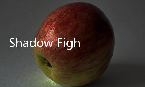 Shadow Fight 3(暗影格斗3安卓最新版)