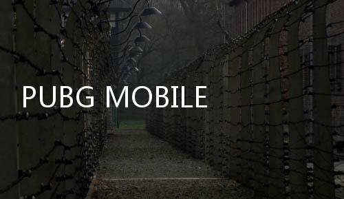 PUBG MOBILE地铁逃生国际服2025手机版