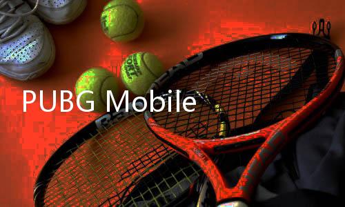 PUBG Mobile国际服官方版