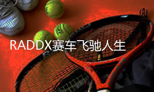 RADDX赛车飞驰人生国际服