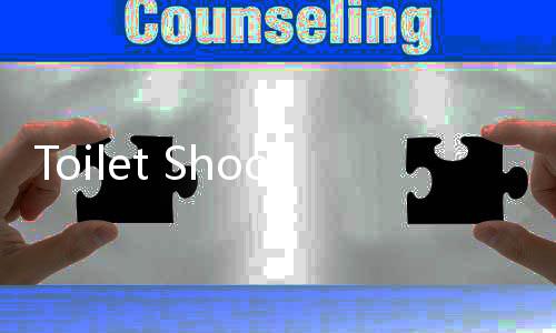 Toilet Shooter Master马桶人射手大师