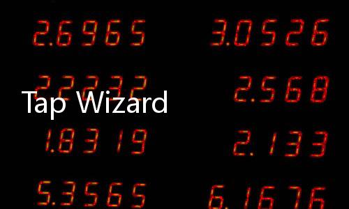 Tap Wizard 2破解版