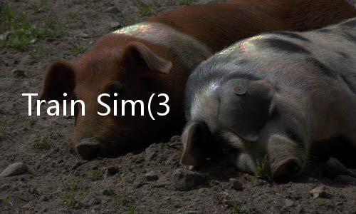 Train Sim(3D模拟火车最新完整版)