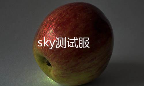 sky测试服