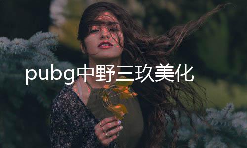 pubg中野三玖美化